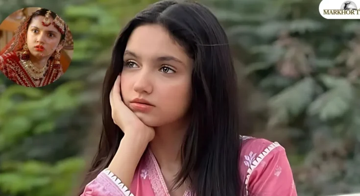Aina Asif Viral Video: Unraveling the Controversy and Its Impact