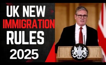 Immigration Lawyers in the UK (2025): New Visa Rules & Fees